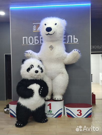 Экспресс поздравление