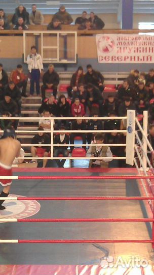 Ринг боксерский напольный на раме рнр2