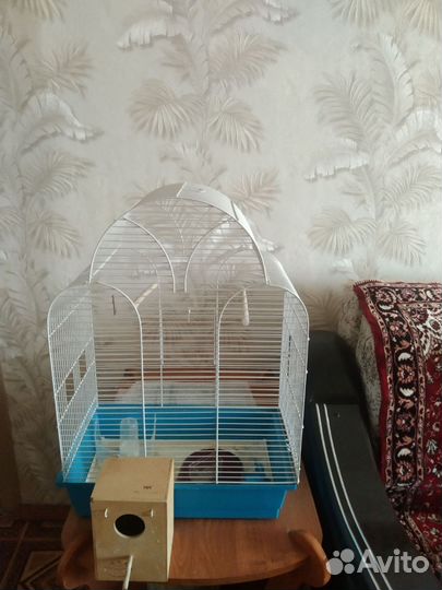 Клетка большая