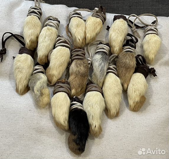 Кроличья лапка