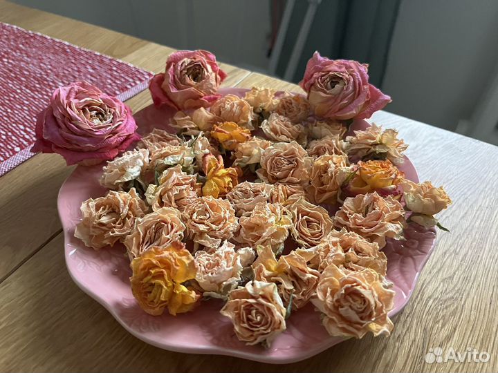 Сухие цветы розы сухоцветы для творчества