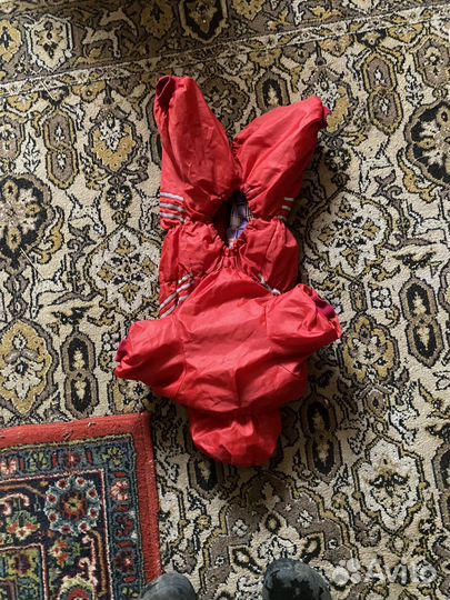 Одежда для собак