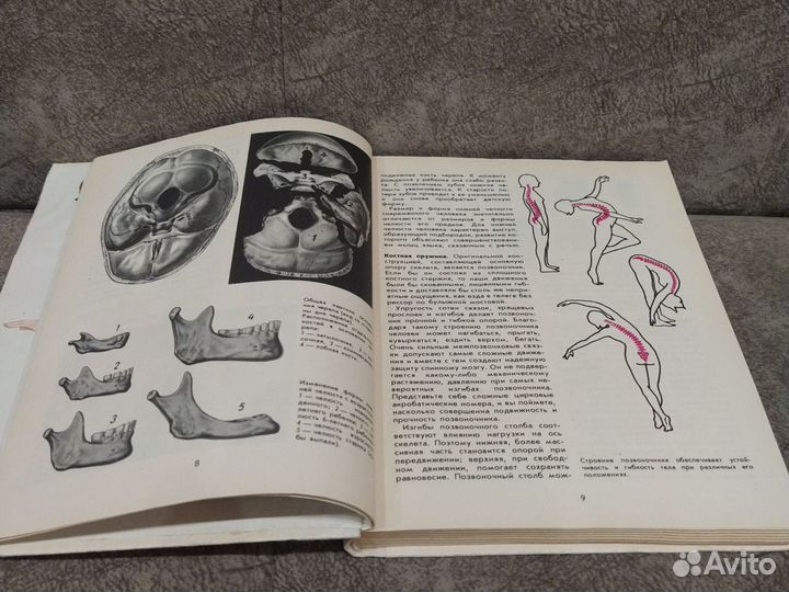 Книга по анатомии, физиологии и гигиене человека