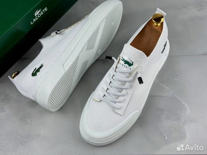 Мужские кеды Lacoste