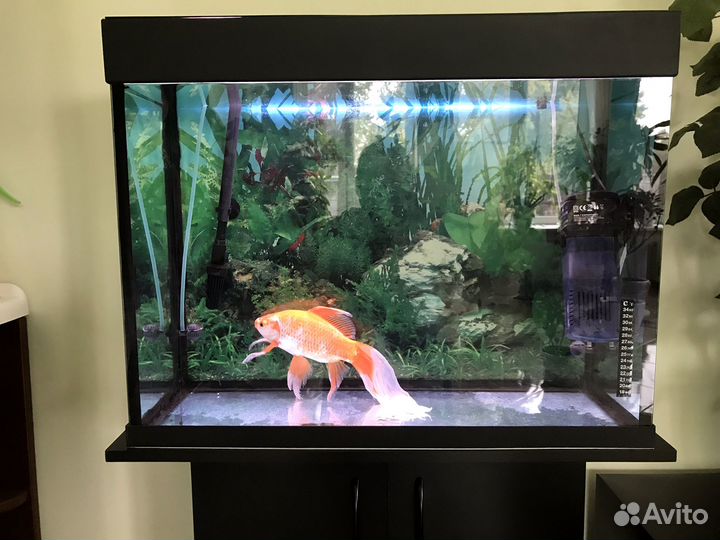 Аквариум с тумбой 100 л