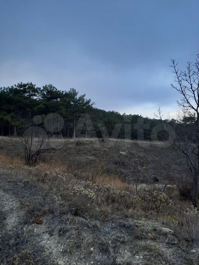 Участок 9 сот. (СНТ, ДНП)
