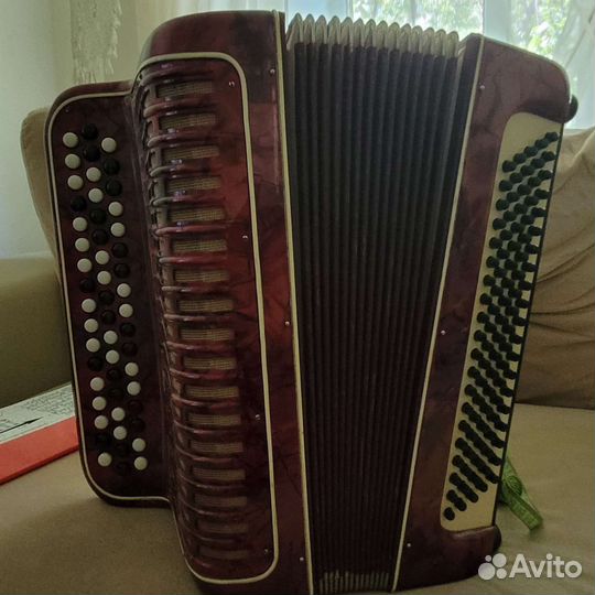 Баян weltmeister