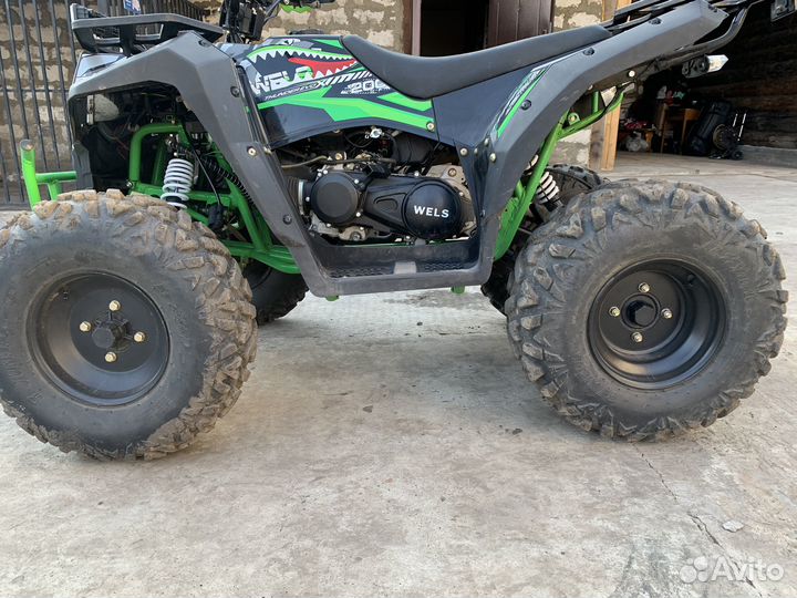 Wels EVO X 200cc+кофр370л