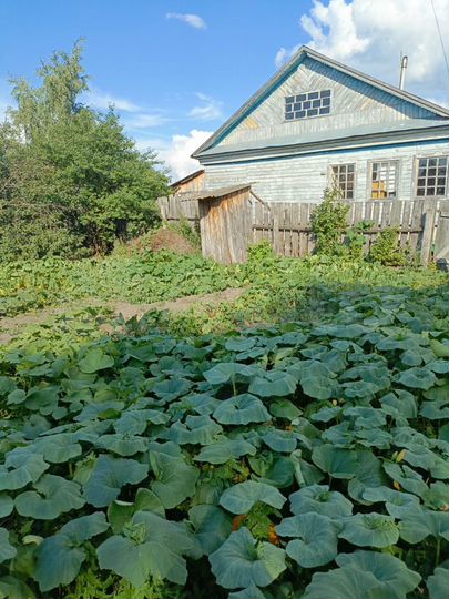 Дом 62 м² на участке 14 сот.