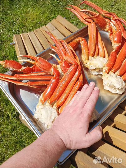 Клешни краба стригуна