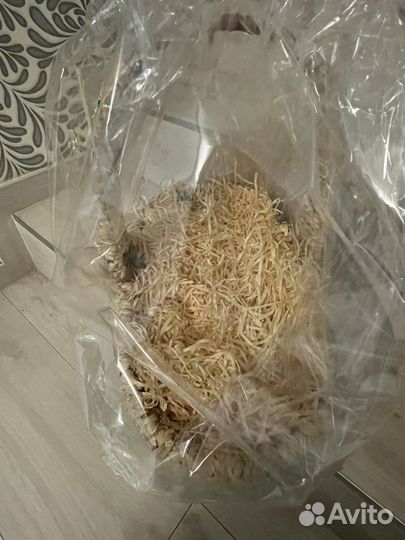 Корзина плетеная азбука вкуса М