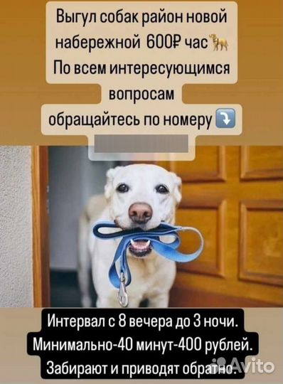 Выгул собак