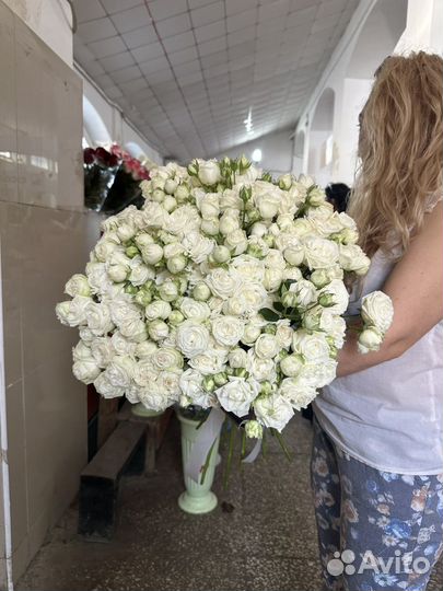 Кустовые розы