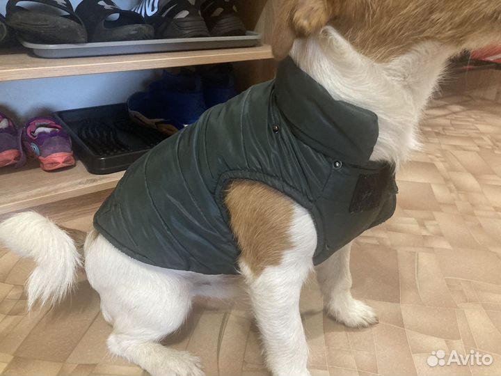 Жилетка для собак