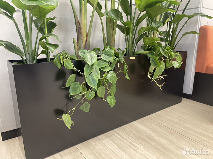 Дивайдер-кашпо для живых и искусственных растений