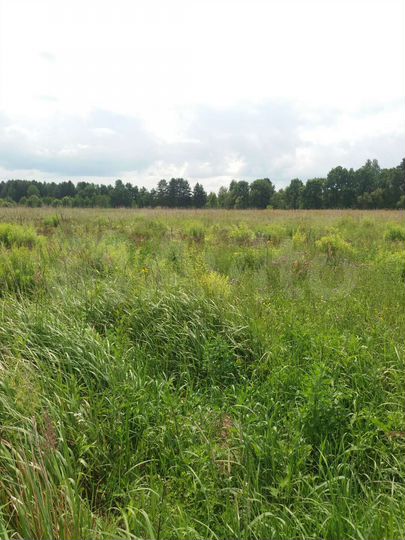 Участок 20 сот. (ИЖС)