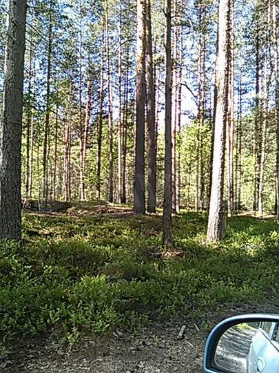Участок 12 сот. (ИЖС)