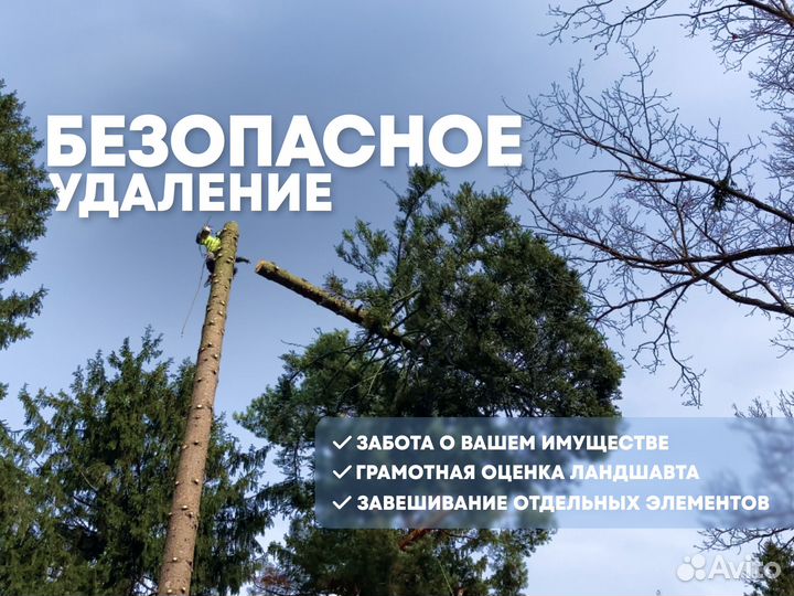 Удаление деревьев/Расчистка участка в Зеленограде