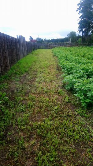 Участок 10 сот. (ИЖС)