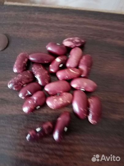 Семена сортовой фасоли