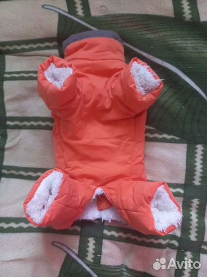 Одежда для собак