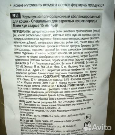 Корм для кошек породы Мэйн Кун