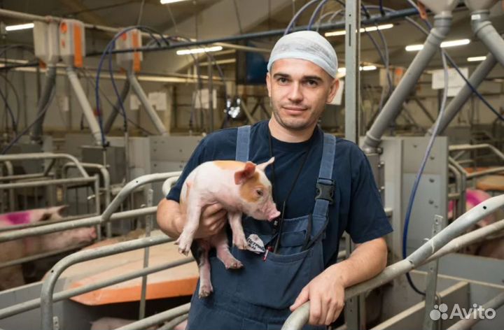 Рабочий по уходу за животными Вахта с 3х раз питан