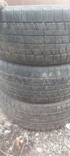 Dunlop Graspic DS3 195/55 R15