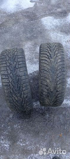 Nokian Tyres Hakkapeliitta 1 215/50 R17 95T