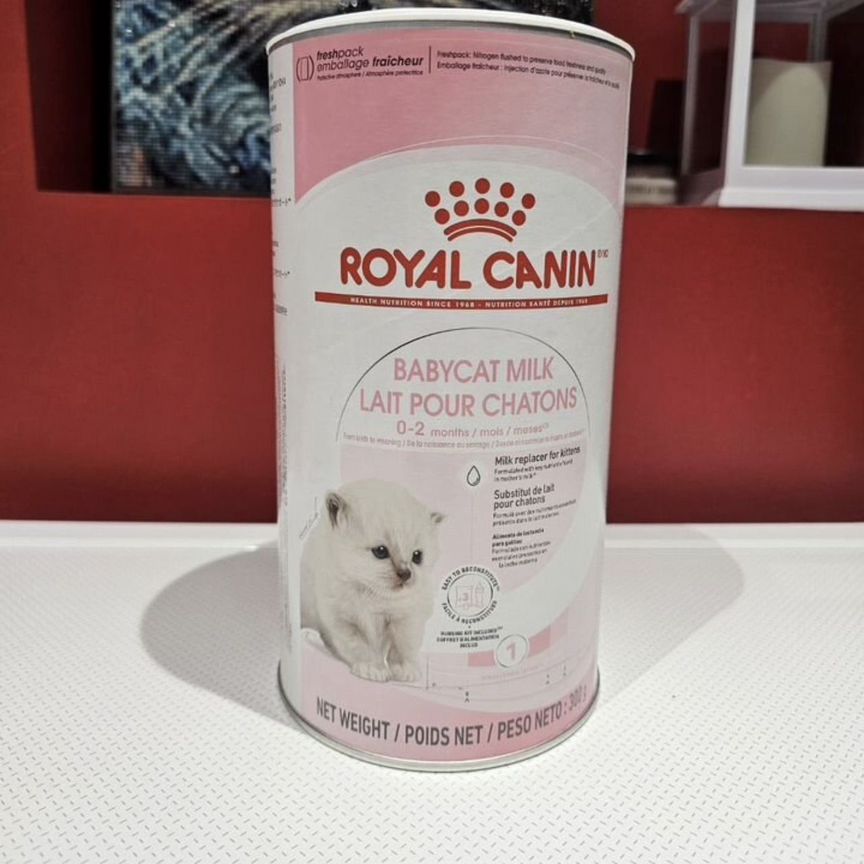 Заменитель кошачьего молока royal canin