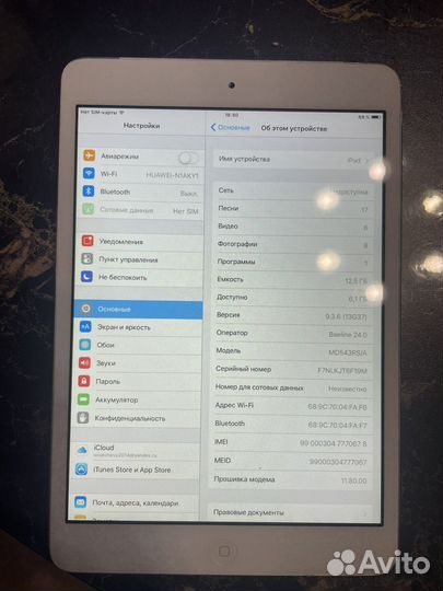 iPad mini wifi celluar