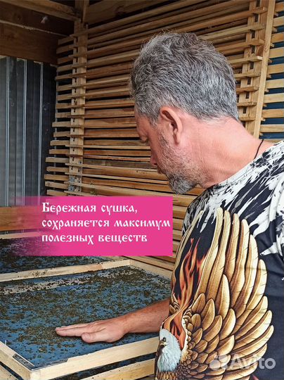 Иван чай ферментированный