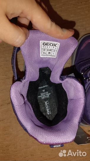 Новые ботинки geox, р. 26