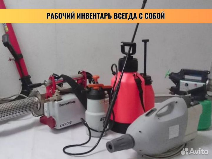 Дезинфекция / Уничтожение тараканов клопов плесени