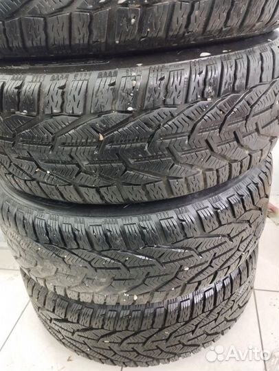 Tigar Winter 205/55 R16 94H