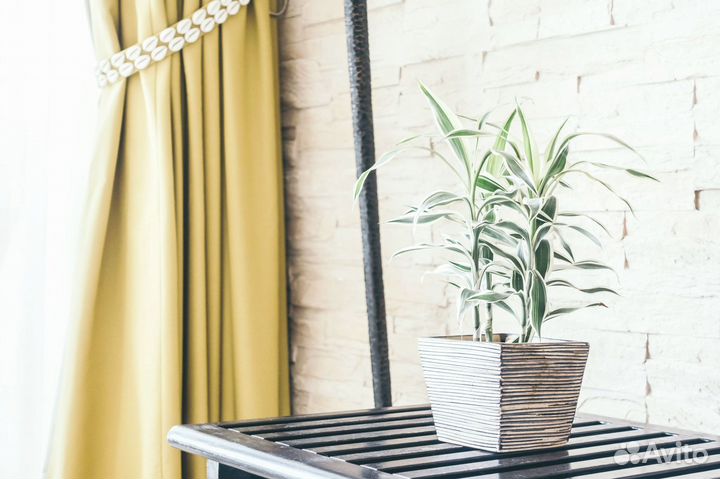 Выезд дизайнера с образцами