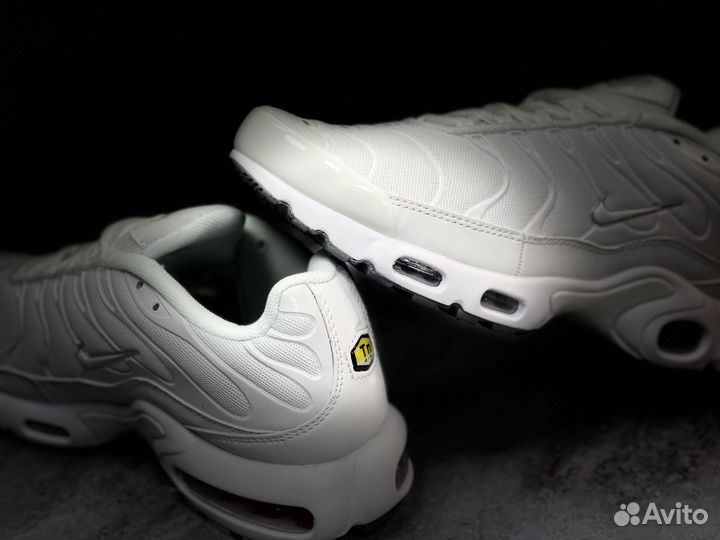 Кроссовки Nike air max tn plus