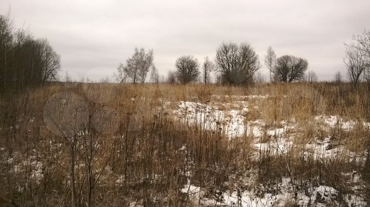 Участок 40 сот. (СНТ, ДНП)