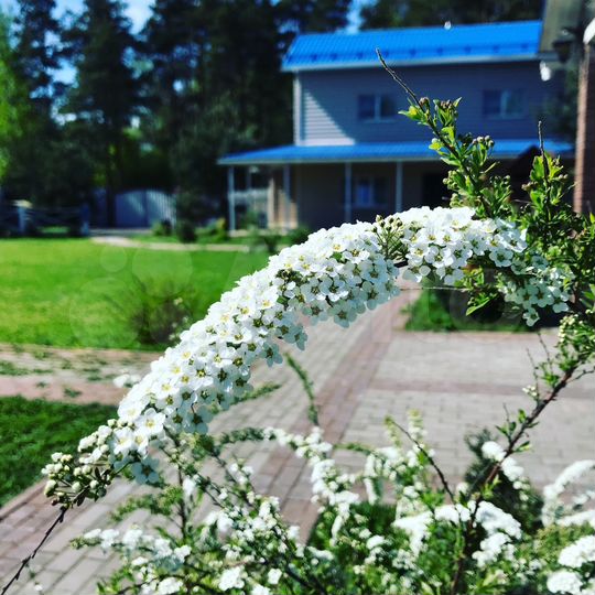 Дом 139 м² на участке 15 сот.