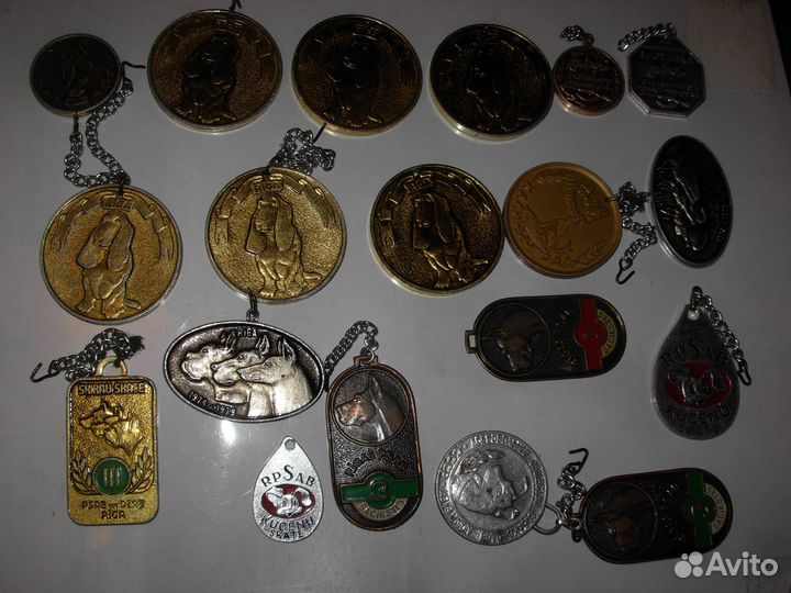 Собачьи медали для собак и не только