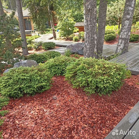 Мульча из коры лиственницы и сосны