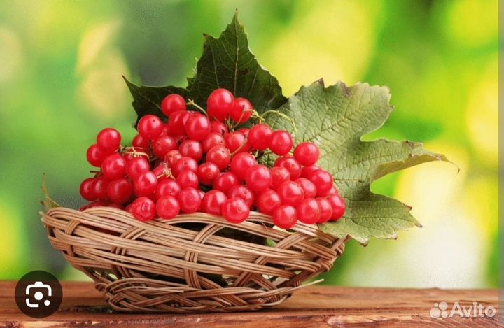 Консервация домашняя