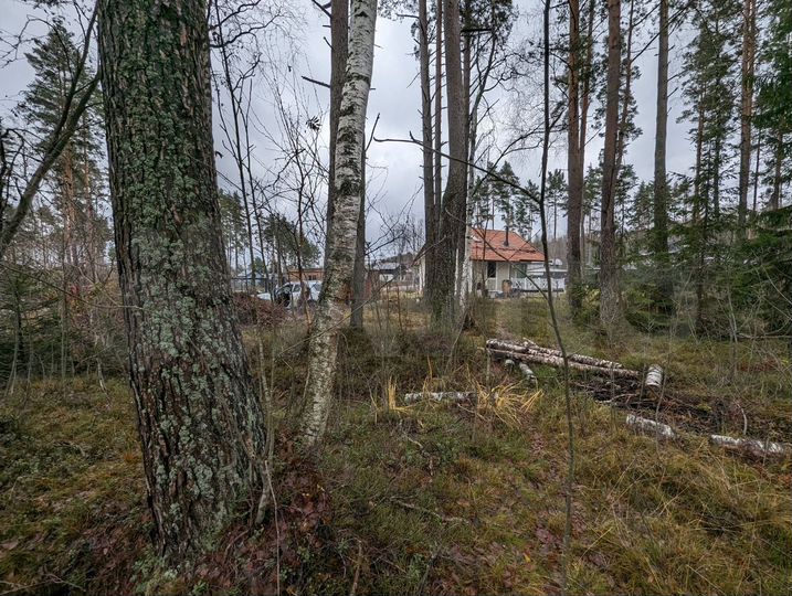 Участок 10,7 сот. (СНТ, ДНП)