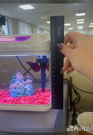 Аквариум 3 л