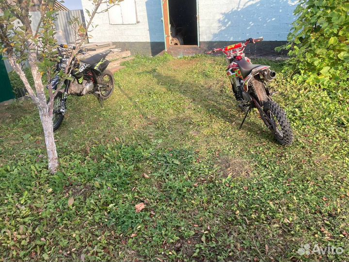 Питбайк кайо