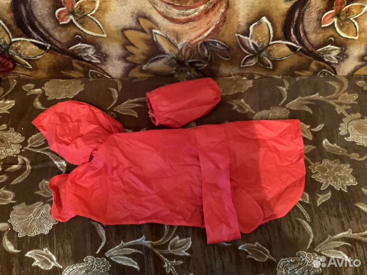 Одежда для маленького кобеля