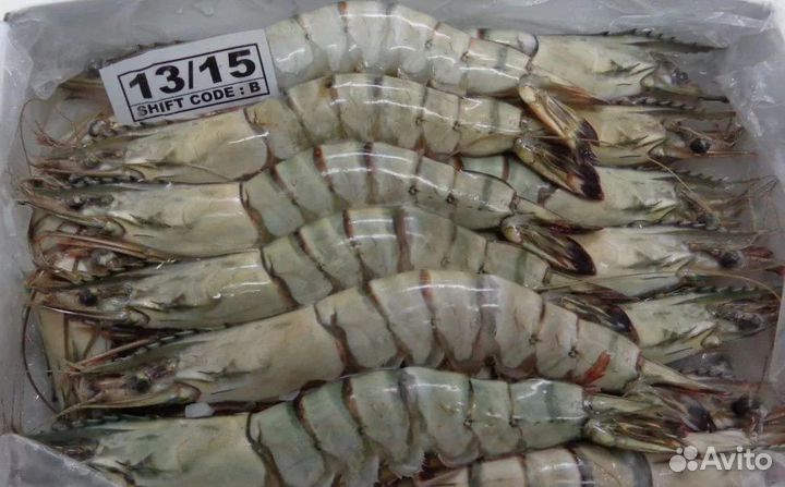 Креветки тигровые 13-15 шт/кг
