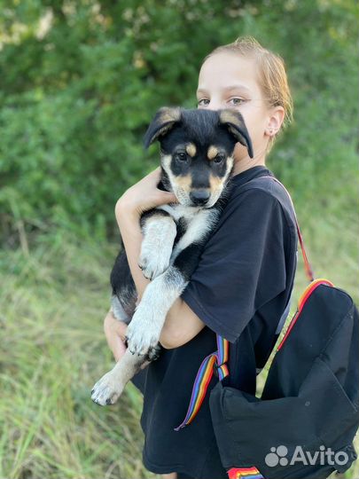 Джеку очень нужен дом