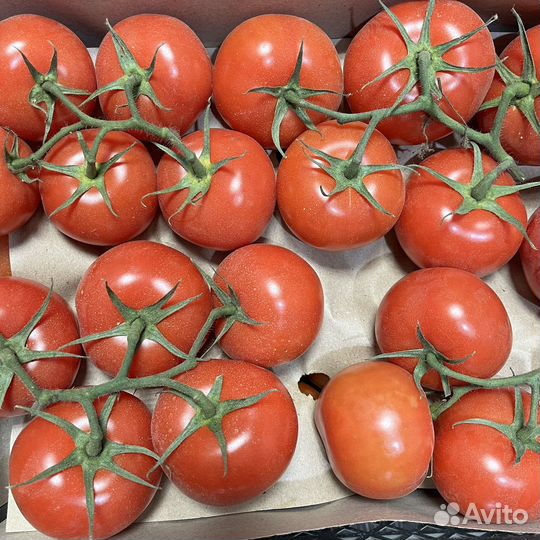 Овощи и фрукты