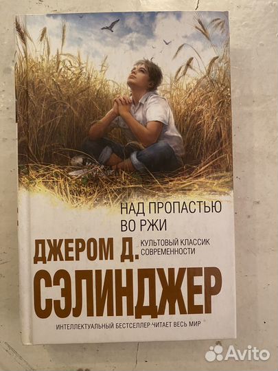 Джером Сэлинджер: Над пропастью во ржи